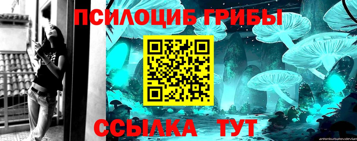 Галлюциногенные грибы Cubensis Крымск